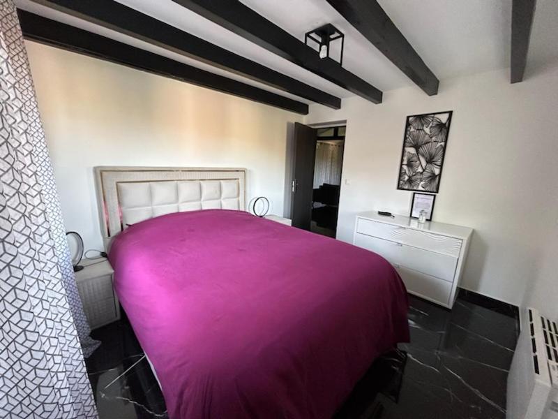 Sinalospa - Culiacan - Appartement Jardin Jacuzzi Sauna A 5 Minutes De Nancy Place Stanislas Champigneulles エクステリア 写真