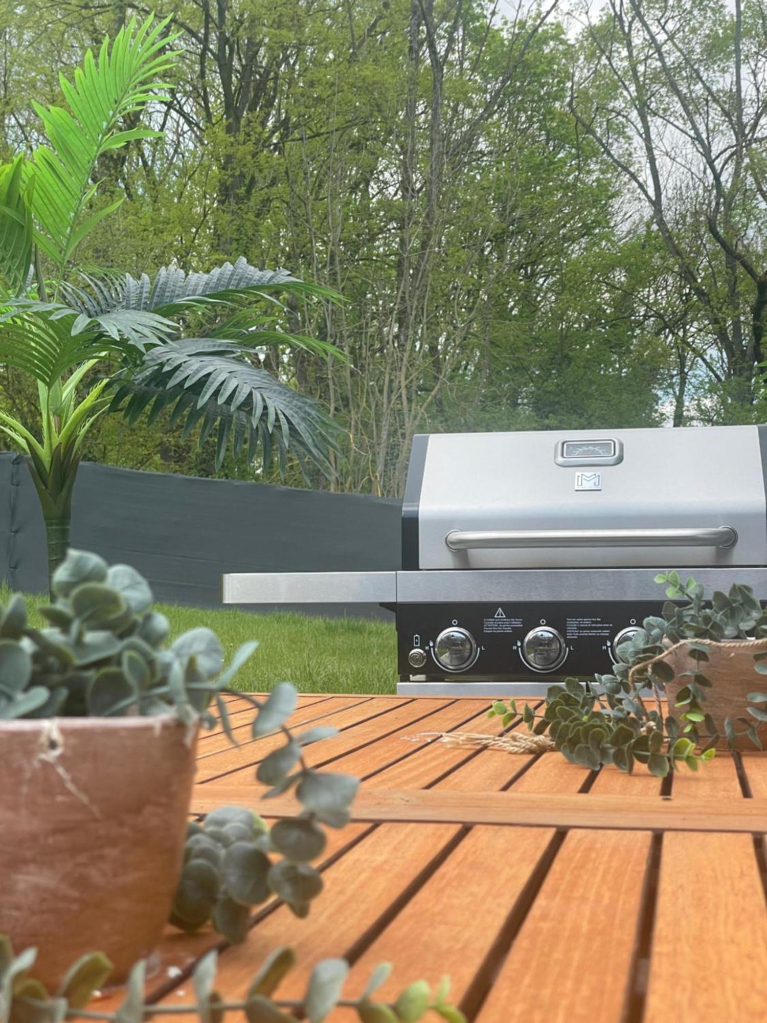 Sinalospa - Culiacan - Appartement Jardin Jacuzzi Sauna A 5 Minutes De Nancy Place Stanislas Champigneulles エクステリア 写真